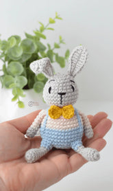 Zippy the Bunny (Crochet)