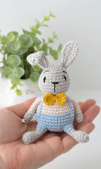 Zippy the Bunny (Crochet)