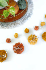 Pumpkin Garland (Crochet)