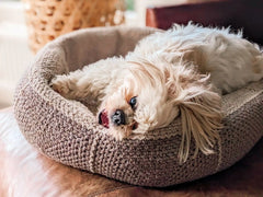 Dog Bed (Crochet)