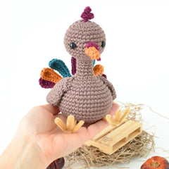 Stewie the Turkey (Crochet)